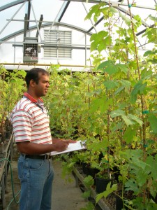 Sadanand Dhekney at work in 2005