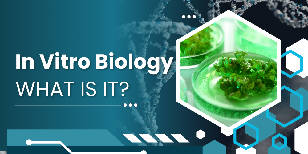 In Vitro Biology – What is it?