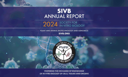 2024 Annual Report