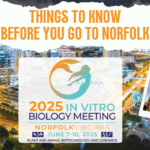 Things to know before you go to Norfolk