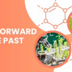 Fast Forward to the Past