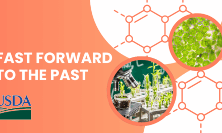 Fast Forward to the Past