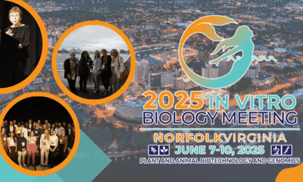 2025 Meeting Summary