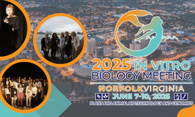 2025 Meeting Summary